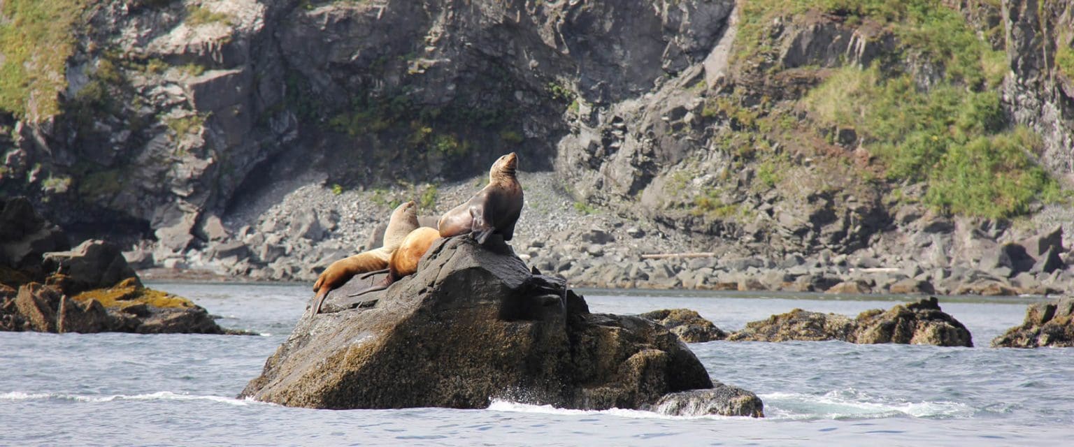 Old Harbor Native Corporation